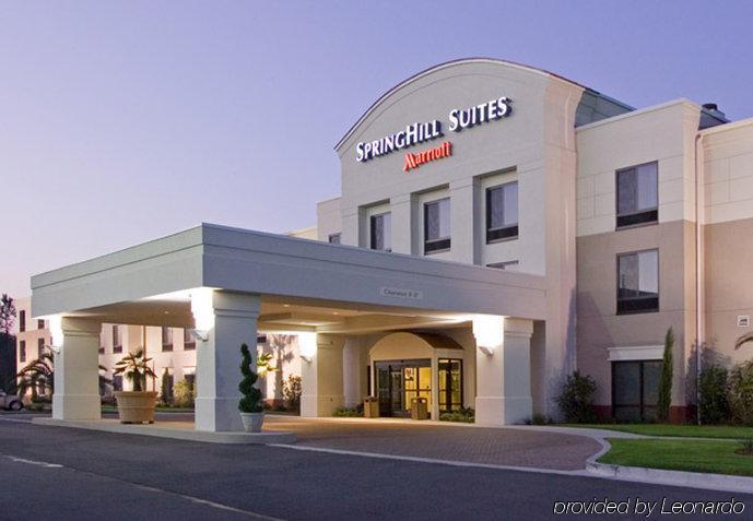 Springhill Suites By Marriott Bellingham Exteriér fotografie